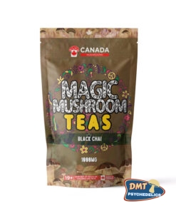 Canada Mushrooms Shroom Tea | 1000MG | Black Chai