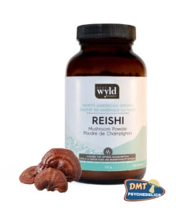 Stay Wyld Organics – Reishi Mushroom Powder (70g)