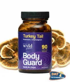 Stay Wyld Organics – Turkey Tail Mushroom Capsules (Bottle of 90)