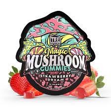 Buy Mushroom Infused Gummies