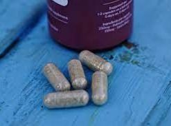 Buy Dose Psilocybin