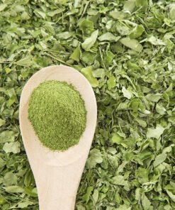 Premium Functional Mushroom Powders – Lab Tested Extracts
